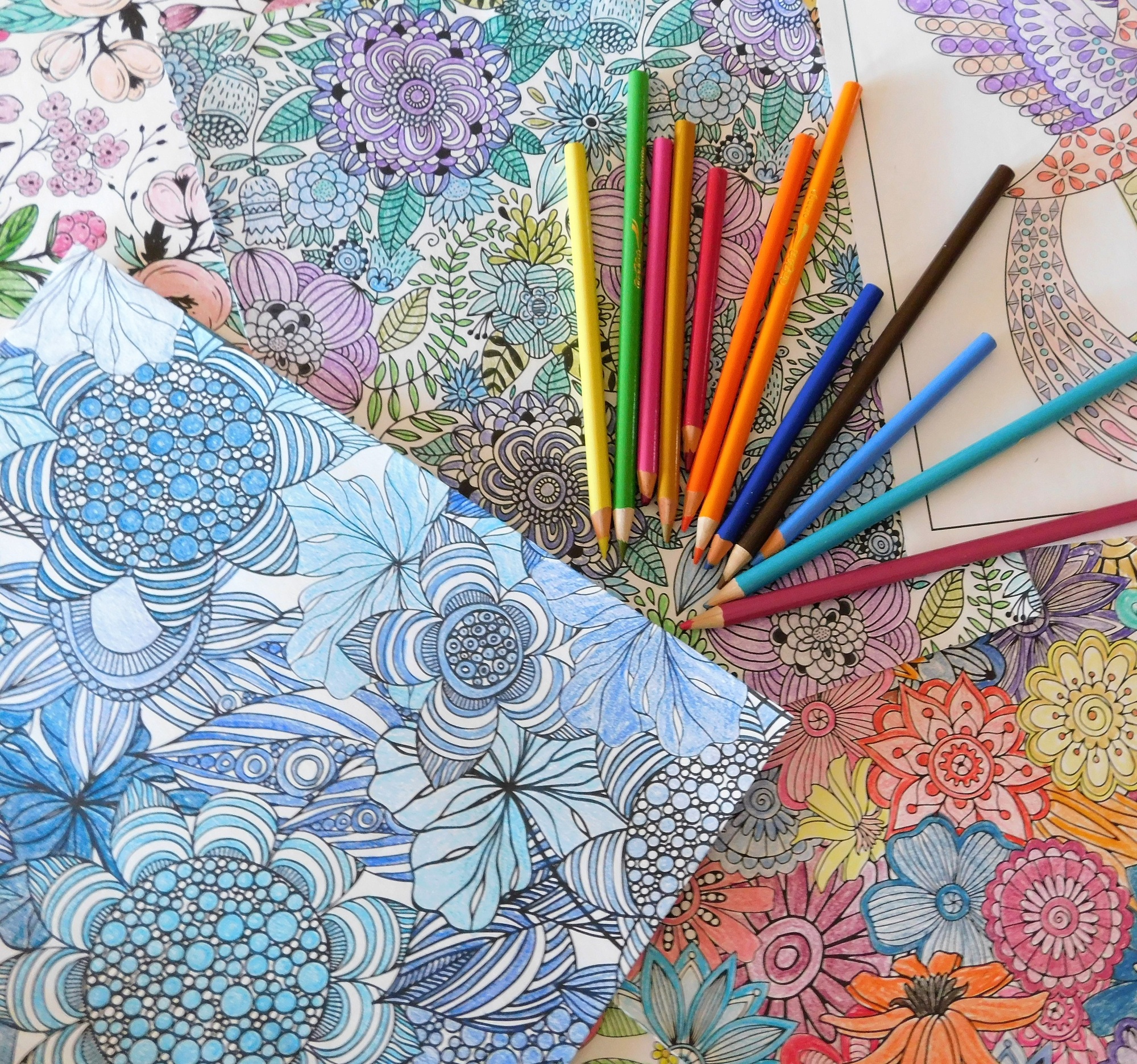 coloriage numéroté pour adulte