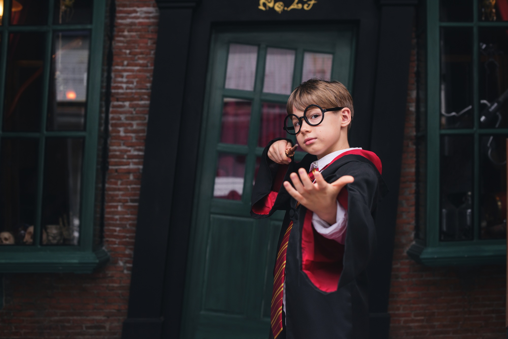 Harry Potter cosplay concept.