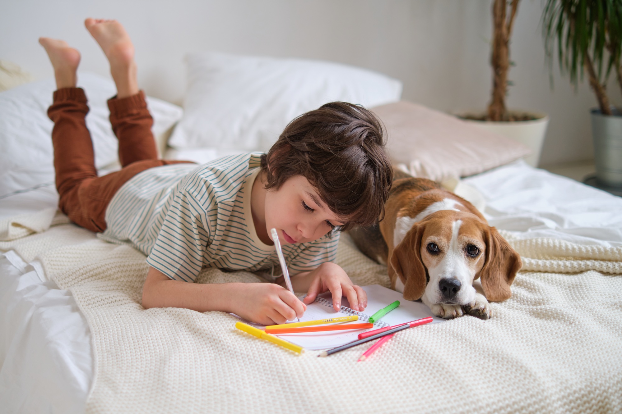 young boy engrossed in drawing with colorful pencils, while his loyal beagle companion lies beside